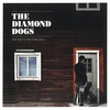 THE DIAMOND DOGS