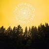 THE DECEMBERISTS