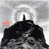 The shins