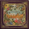 Panic At The Disco "Pretty odd"