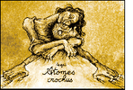 ATOMES CROCHUS