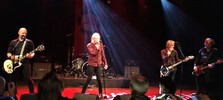 Radio Birdman au De Kreun - Courtrai le 14/10/2018