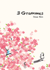 3 GRAMMES